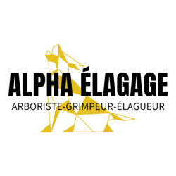 Alpha Élagage